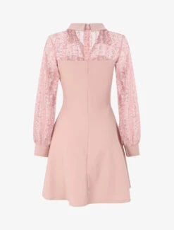 Robe Patineuse à Manches En Dentelle Et Boutons Dorés - Rose Poudré 6 Robe Patineuse à Manches En Dentelle Et Boutons Dorés - Rose Poudré -DADA Vetements Magasin GEM 10518 2